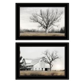 Trendy Decor 4U "Ohio Fields I" Framed Wall Art, Modern Home Decor Framed Print for Living Room, Bedroom & Farmhouse Wall Decoration by Lori Deit