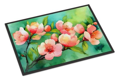 Delaware Peach Blossom in Watercolor Doormat Front Door Mat Indoor Outdoor Rugs for Entryway, Non Slip Washable Low Pile, 24H X 36W